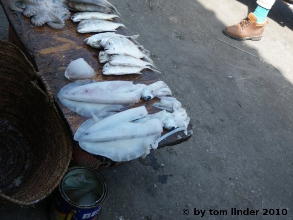 Fish market in Malindi